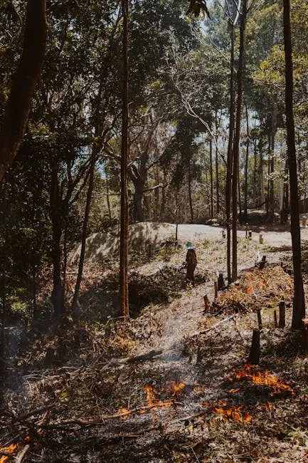 Western Cape Wildfires: Over 70,000 Hectares of Protected Land Lost in Intense Season