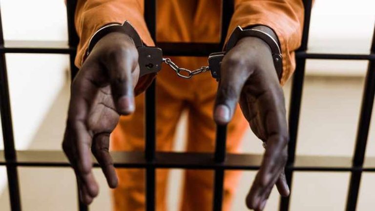 Two men sentenced to 20 years for Grootvlei farm murder